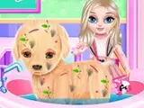 عمليات الكلاب