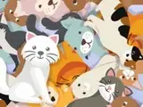 البحث عن القط